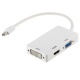 IT Adapter Mini-Displayport m / VGA/DVI/HDMI w