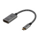 IT Adapter USB-C/Displayport, m/w onit