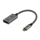 IT Adapter USB-C/Displayport, m/w onit            