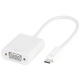 IT Adapter USB-C/VGA, m/w