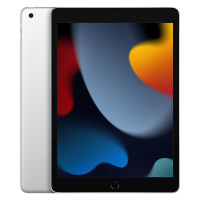Apple iPad 10.2 (9th Gen., 2021), 256GB, silber, Wi-Fi                     