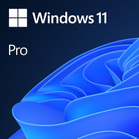 MS-Windows 11 Pro, D, 64-Bit, OEM