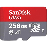 Memory Card 256GB, micro-SD-Card UHS-I, SanDisk (Switch)